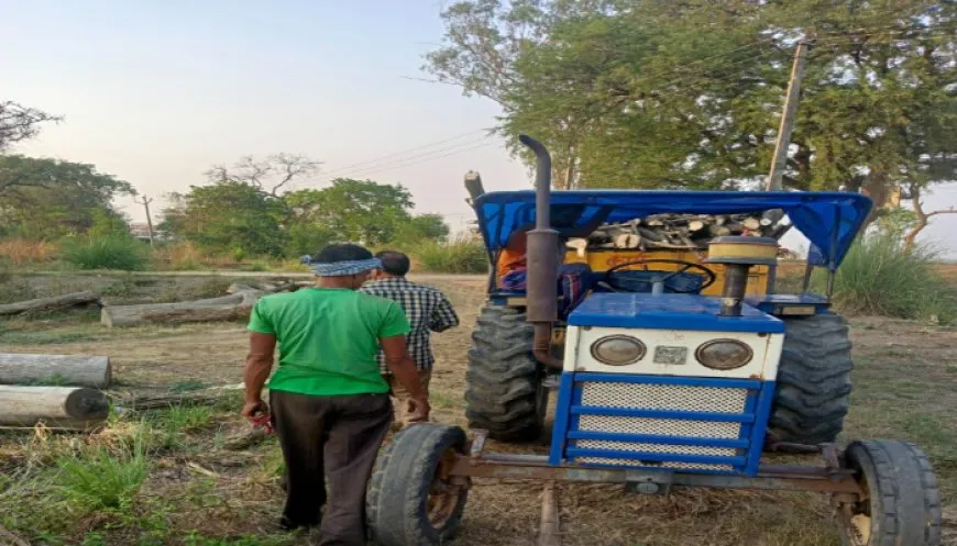 बलिया – वन विभाग ने बड़ी कार्रवाई करते हुए अवैध रूप से महुआ व आम की लकड़ी का परिवहन करते हुए 2 ट्रॉली जब्त की है