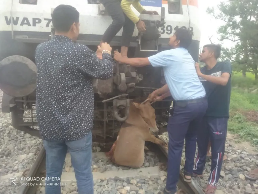 बलिया-छपरा रेल खंड पर खच्चर की वजह से रूकी हमसफर, देर से हुई रवाना