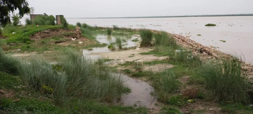 Flood In Ballia : बलिया में गंगा की लहरों ने लांघा लाल निशान