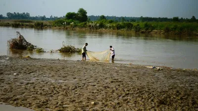 मुरादाबाद: बाढ़ से 900 बीघे की फसल बर्बाद, 10 हजार की आबादी प्रभावित