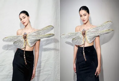 Ananya Panday Hot Photos : अनन्या पांडे ने पहनी ऐसी ड्रेस लोगों को याद आ गई उर्फी, अदाओं के दीवाने हुए फैंस