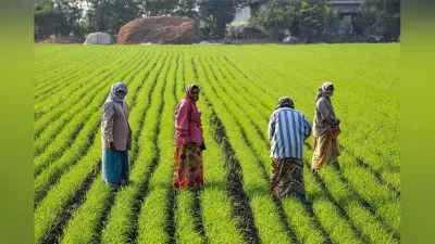 सरकार द्वारा लिये गये फैसले का लाभ यूपी को प्राप्त हो रहा