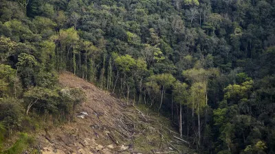 वनों का विस्तार