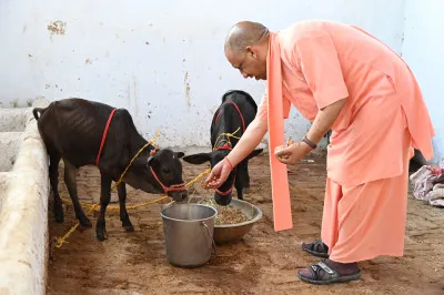 गोरखनाथ मंदिर में आईं पुंगनूर गाय, सीएम योगी ने खूब दुलारा