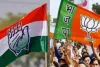 लोकसभा चुनाव 2024: भाजपा को 10 वर्ष के काम और मोदी मैजिक से उम्मीद