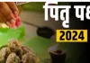 Pitru Paksha 2024: पितृपक्ष आज से शुरू, 2 अक्टूबर तक चलेंगे...ये है तर्पण की विधि