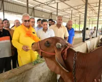 शिक्षा मंत्री ने किया वृक्षारोपण, गायों को खिलाया गुड़ व चारा