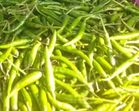 Green chilli : बलिया में लुढ़का हरी मिर्च का सेंसेक्स, उत्पादक मायूस