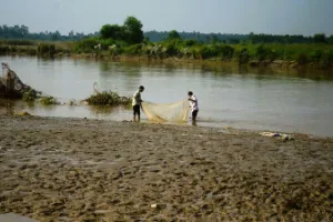 मुरादाबाद: बाढ़ से 900 बीघे की फसल बर्बाद, 10 हजार की आबादी प्रभावित