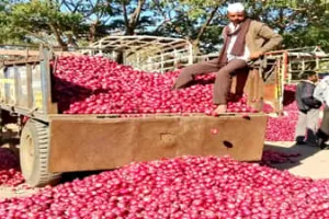 Onion Price Hike: दिल्ली में प्याज का भाव 80 के पार, पटना में 60 रुपये, मोदी सरकार के इस फैसले से लगेगी लगाम