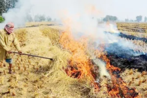 लखनऊ: खेतों में पराली जली तो थानेदार होंगे जिम्मेदार, ड्रोन से की जाएगी निगरानी