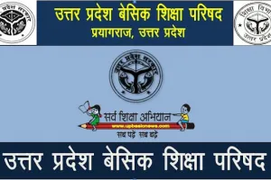 यूपी बेसिक शिक्षा परिषद से बर्खास्त होंगे 400 शिक्षक, 700 रडार पर, अभिलेखों का हो रहा गोपनीय सत्यापन