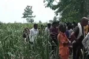 लखीमपुर-खीरी: गन्ने के खेत में मिला लापता हुए व्यक्ति का शव, जांच में जुटी पुलिस